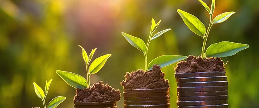 برترین حوزه های سرمایه گذاری، سرمایه گذاران خطرپذیر